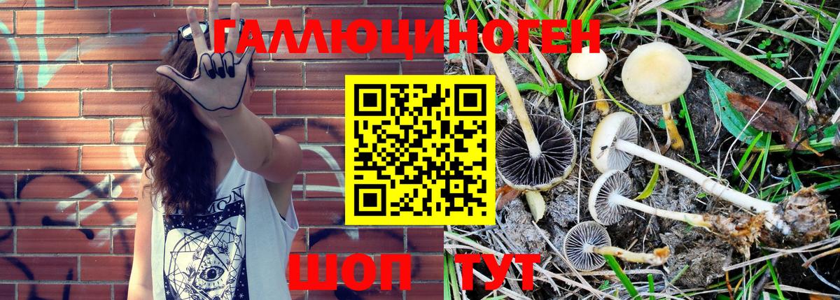 сколько стоит  Псилоцибиновые грибы Magic Shrooms  Вход с VPN  Кулебаки 